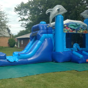 Dolphin Splash Combo (Wet or Dry)